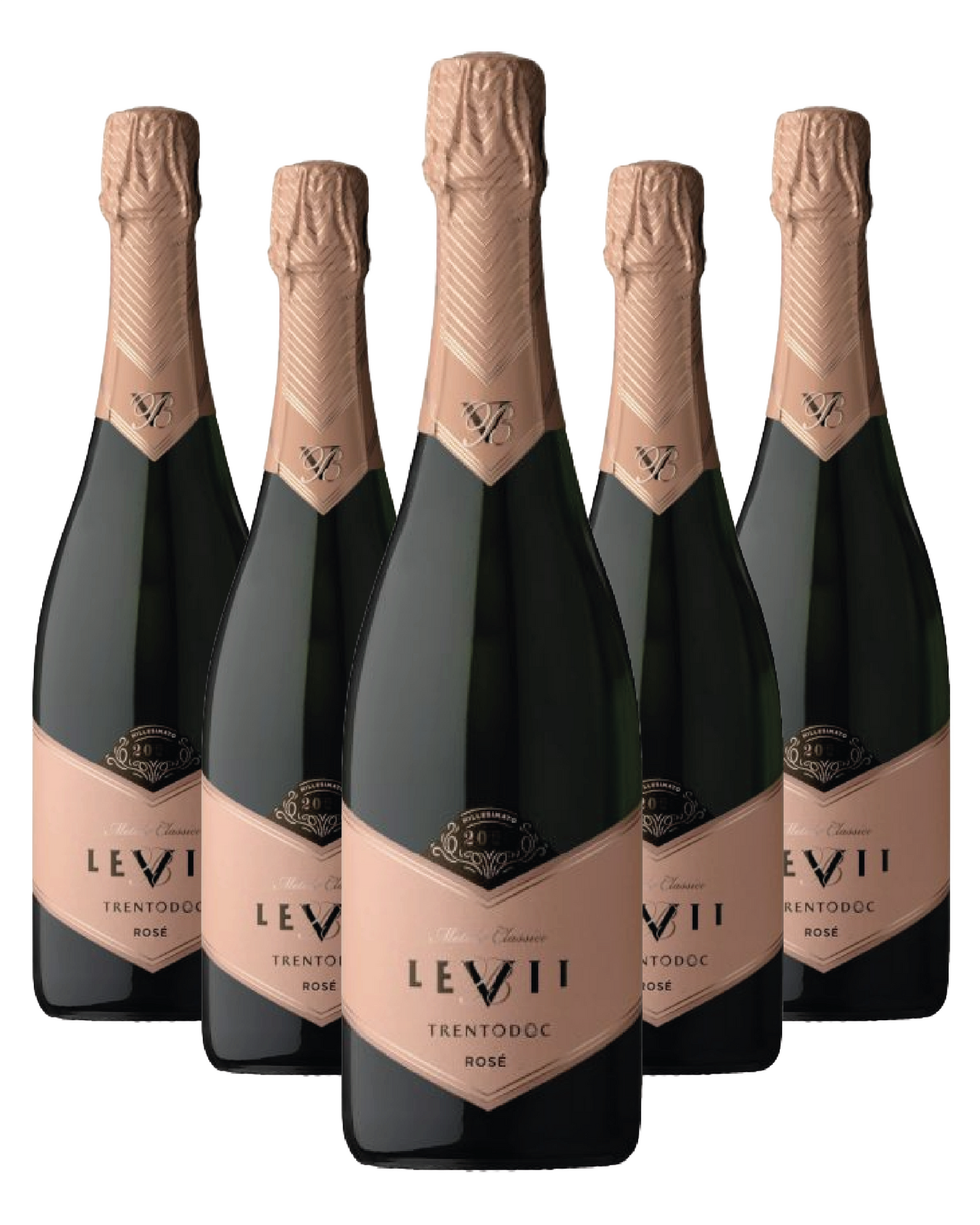 Levii Trento DOC Rosé Millesimato 75cl x 6