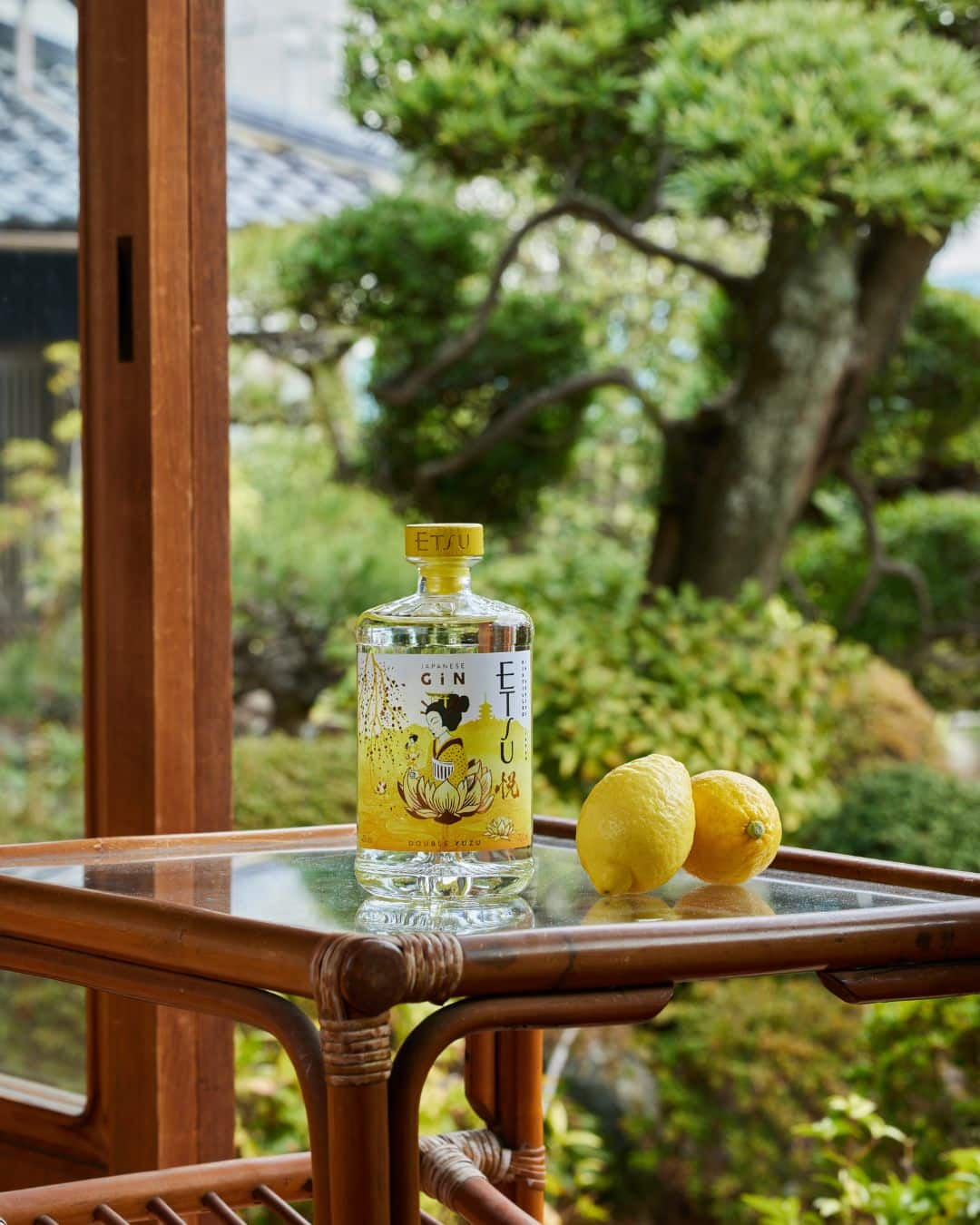 ETSU gin double yuzu 70cl