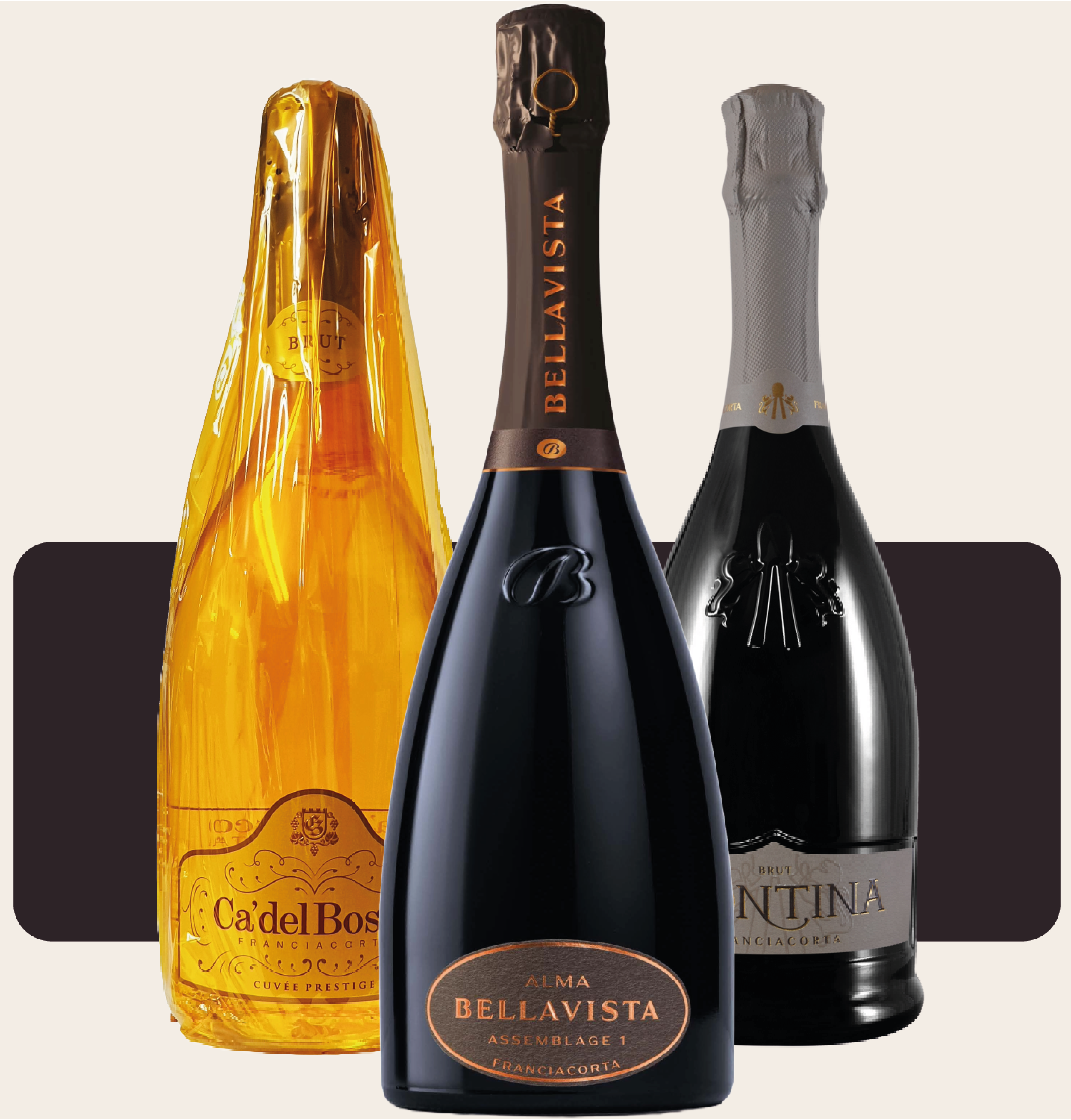 Bollicine