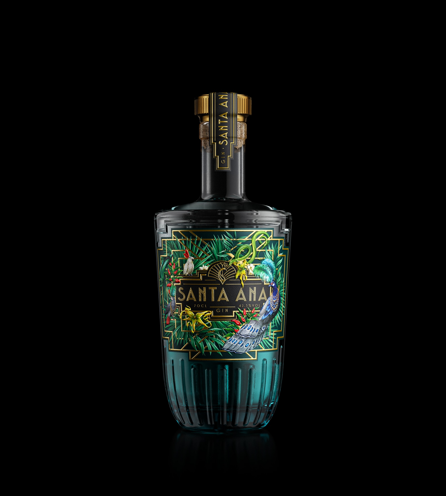 Gin Santa Ana cased 70 cl