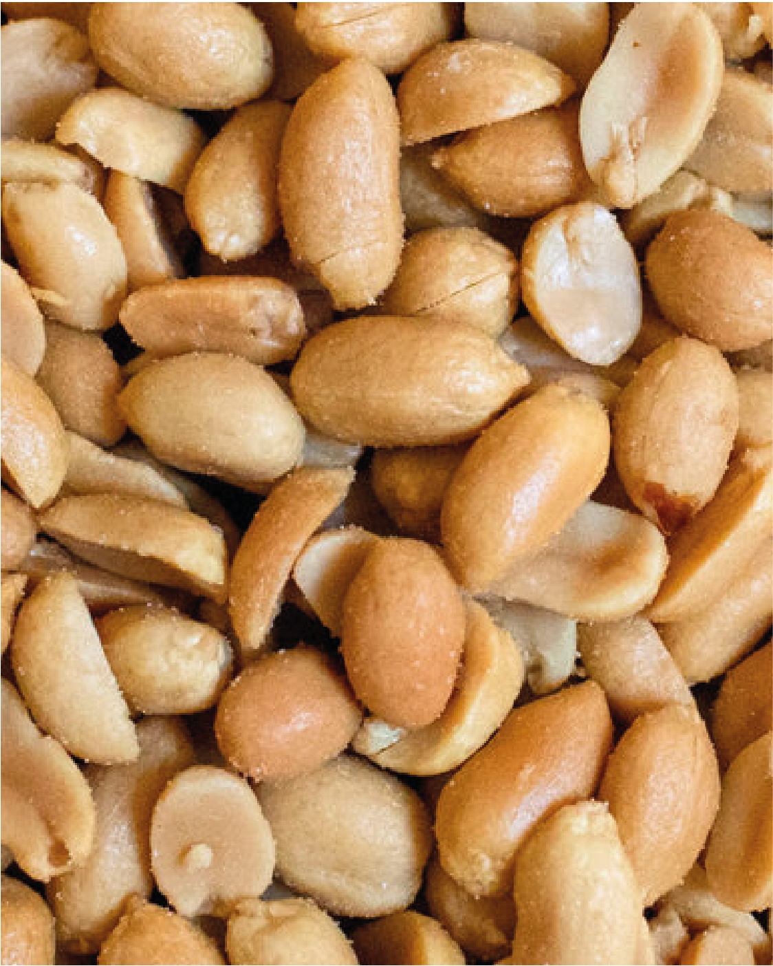 Platinum Roasted and Salted Peanuts 1Kg