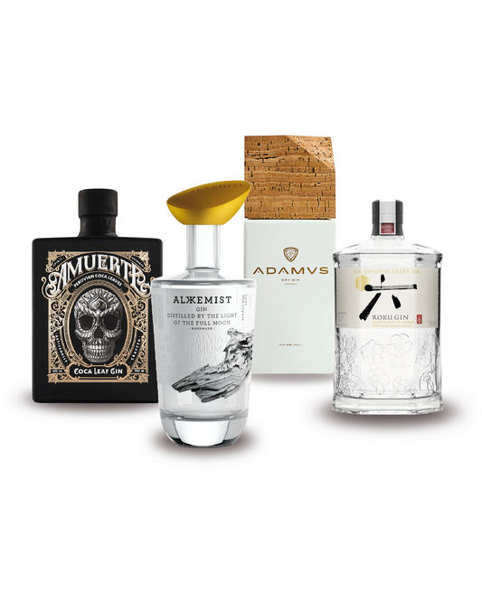 Gin Box Starter Experience 4bt