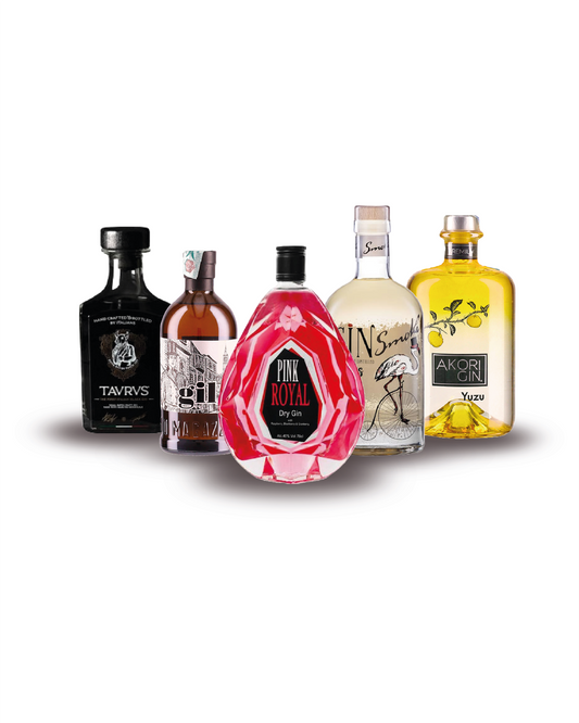 Gin Box Aromatic Selection 5 bottiglie
