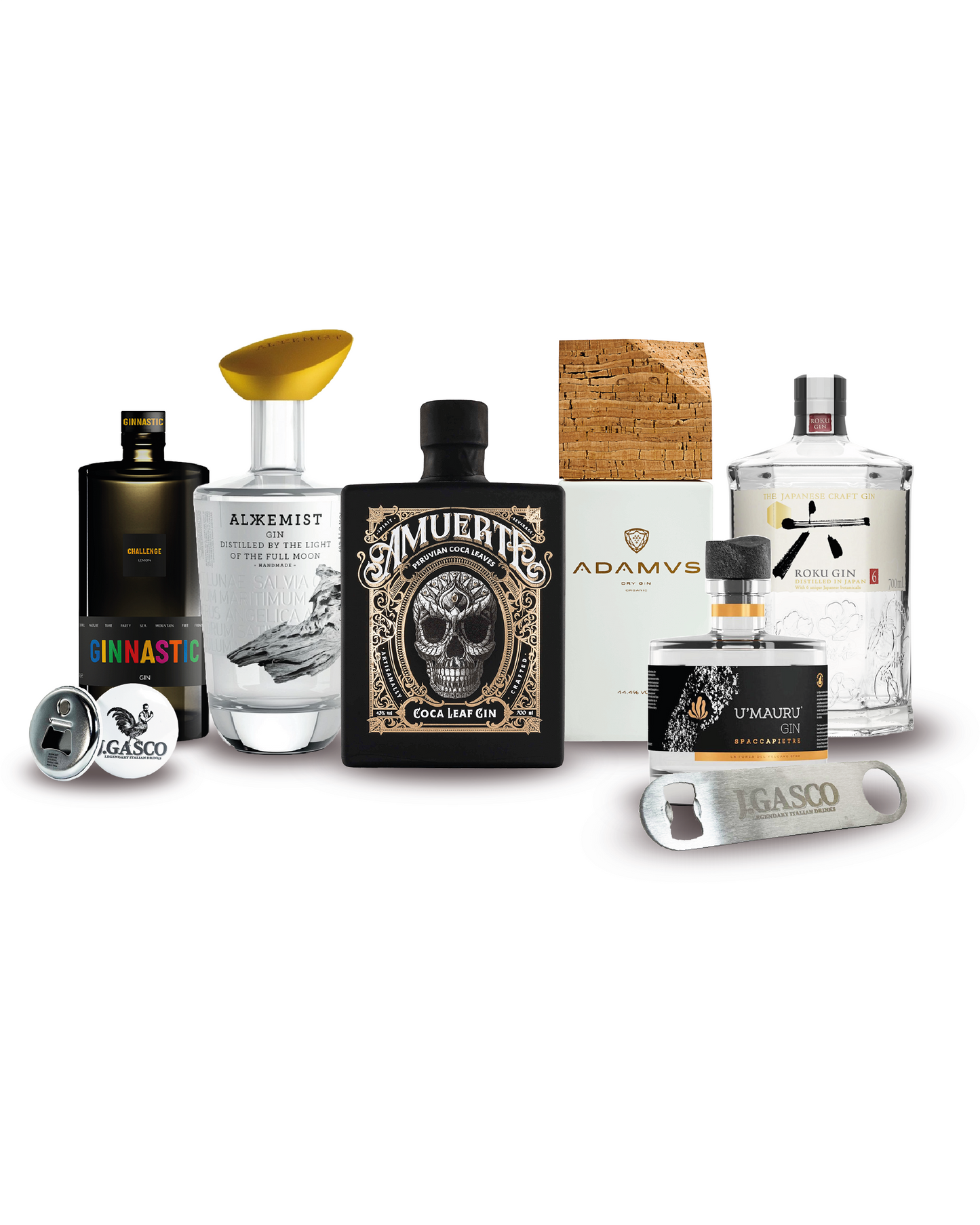 Gin Box Advanced collection 6bt