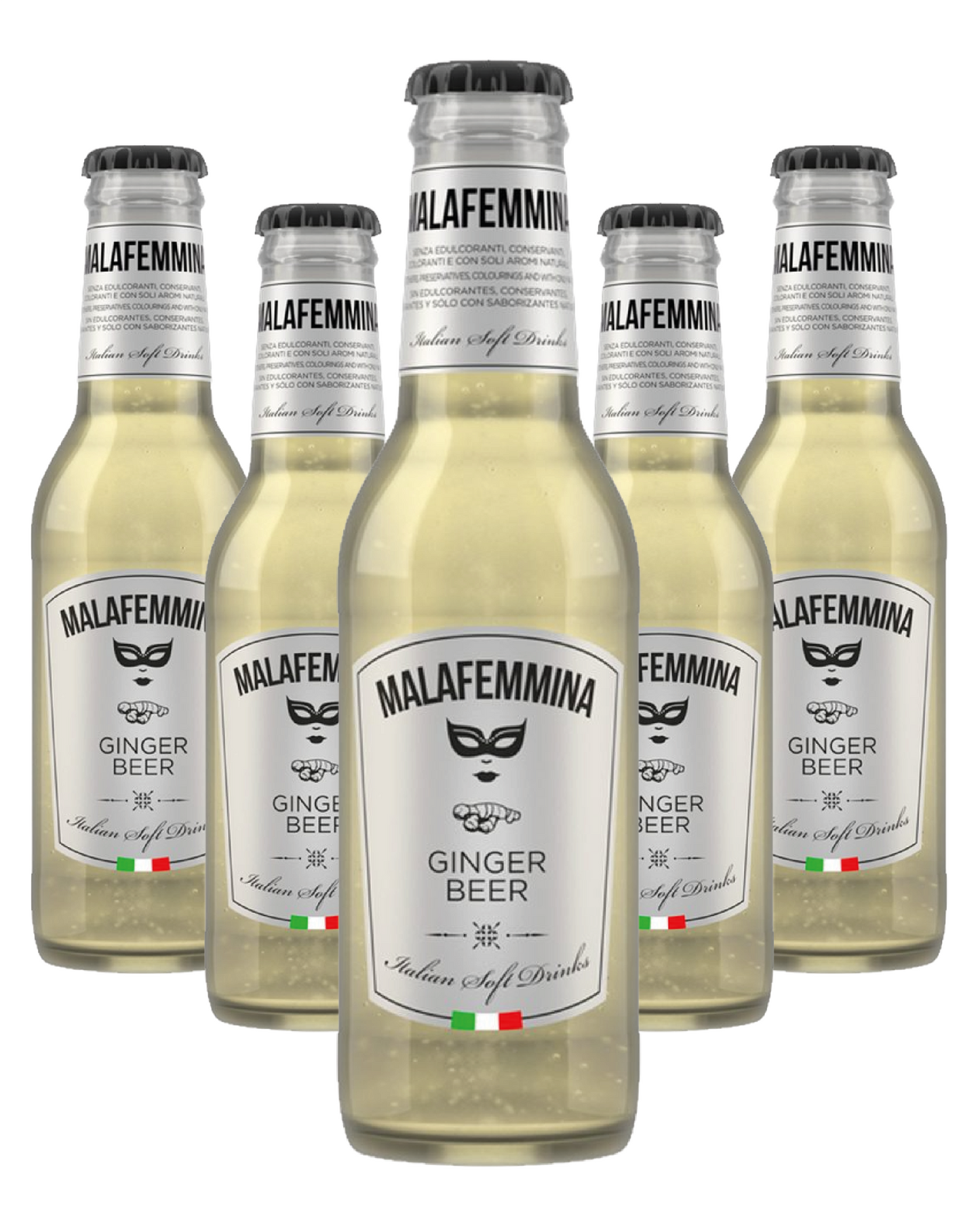Malafemmina Ginger beer 20cl x 24