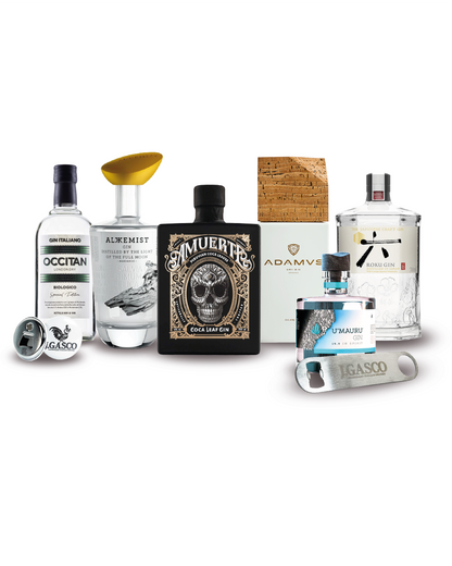 Gin Box Advanced collection 6bt