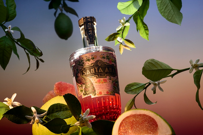 Gin Santa Ana Pomelo 70 cl