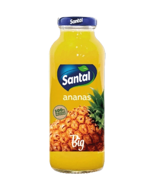 Santal Big succo Ananas 250ml x 24