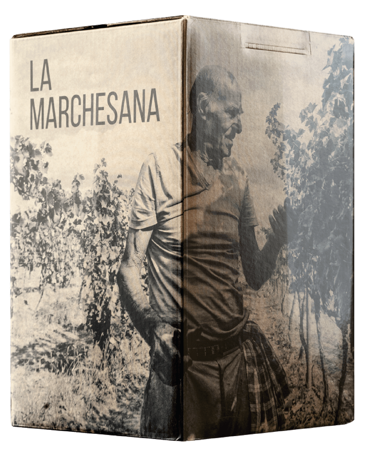 Polvanera La Marchesana bag in box Bianco 5 lt